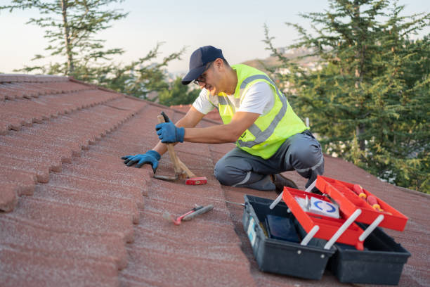 Best Roof Repair Services  in Line Acres, MO